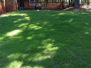 Kenya J.'s Yard Cutting service result