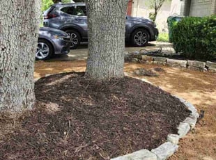 Mulching by Khristian Thomas for Lane W. in Austin, TX