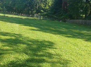 Garrett R.'s Lawn Service service result
