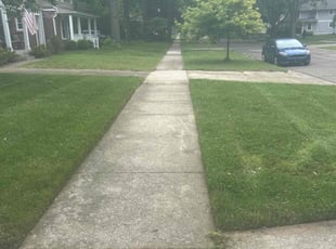 Cleanups by Kyle Yacko for Harsha S. in Royal Oak, MI