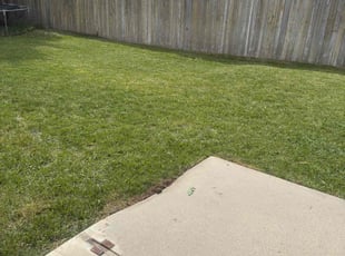 Liz C.'s Lawn Mowing service result