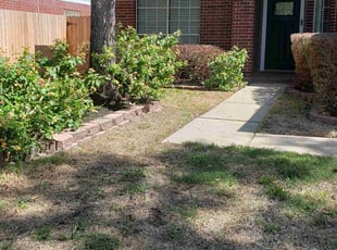 Bush Trimming by Roldan Diaz for Paul Y. in Humble, TX