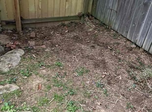 Leaf Removal by Kasandra Velasco for Arpen S. in Louisville, KY