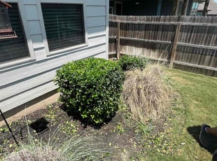 Bush Trimming by Keanu Contreras for Maria L. in New Braunfels, TX