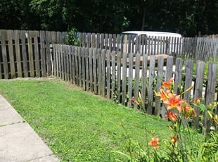 Bush Trimming by Ronald Jacobs for Damon W. in Cincinnati, OH