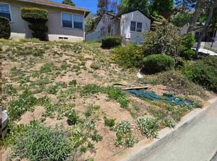Bush Trimming by Huey Larsen for Gale G. in Altadena, CA