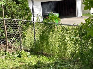 Cleanups by Charles Hinton for Miguel M. in Garfield Heights, OH
