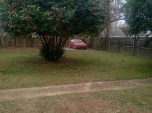 Leaf Removal by Sean Saulsby for Alec S. in Hampton, VA