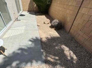 Bush Trimming by Lamont Johnson for Elizabeth R. in Las Vegas, NV
