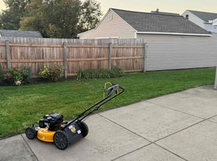 Sheila E.'s Lawn Care service result