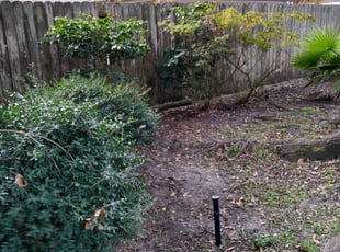 Leaf Removal by Daniel Campos for Taufeeq M. in Houston, TX