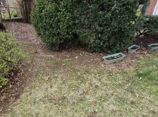 Leaf Removal by Lawrence Tischler for Ann D. in Cincinnati, OH