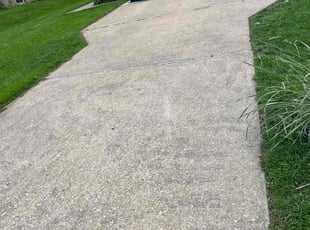 Leaf Removal by Dimas Lopez for Linda W. in Catonsville, MD