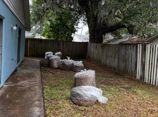 Leaf Removal by John Galloza for Justin W. in Kissimmee, FL