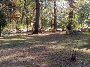 Leaf Removal by Lionel Lee for Caryn W. in Clarkston, GA