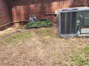 Leaf Removal by Jay M for Clay D. in Norfolk, VA