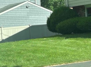 Patricia P.'s Grass Cutting service result