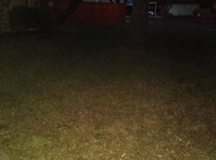 Cleanups by Mike Chaulk for Daniel W. in The Colony, TX