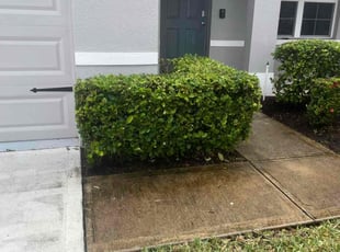 Bush Trimming by Paul Bartholomew for Courtney S. in Palm Bay, FL