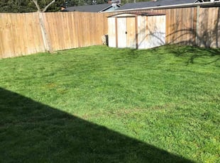 Linda N.'s Lawn Mowing service result