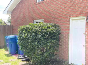 Bush Trimming by Bryan Oren for Liz M. in Virginia Beach, VA