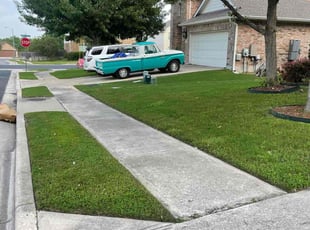 Earl M.'s Lawn Mowing service result