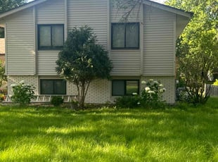 Bush Trimming by Santos Blanco for Tenzin N. in Minneapolis, MN