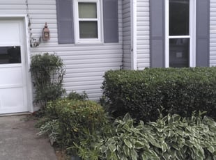 Bush Trimming by Douglas Moore for Amanda B. in Greensboro, NC