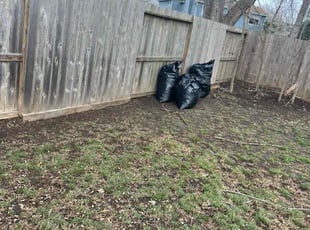 Leaf Removal by Paul Jones for Amber M. in Houston, TX