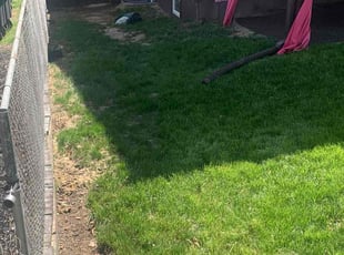 Cleanups by FatMan Slim for Erica G. in Washington, DC