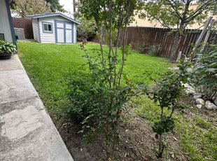 Calvin w.'s Lawn Maintenance service result