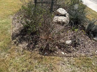 Leaf Removal by Miguel Delgado for Stacie S. in Boerne, TX