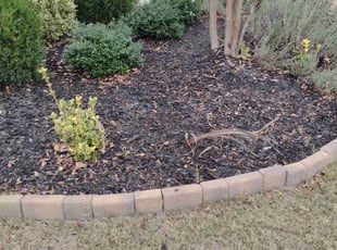Leaf Removal by Echo & Gary Stephens for Misty P. in Indian Land, SC