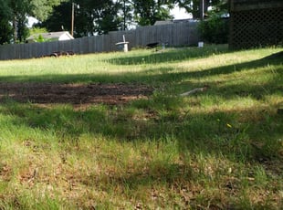 Bush Trimming by Jeremiah Davis for Reco . in Kannapolis, NC