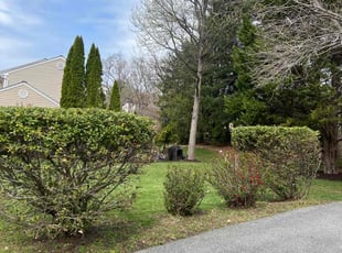 Bush Trimming by JosuΓ© and Eduardo Tena for Greg S. in Columbia, MD