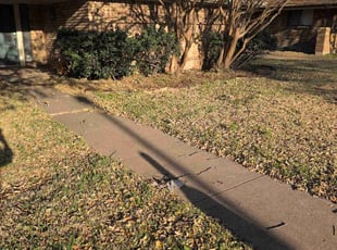 Weeding by Shane Sullivan for Alexandra H. in Carrollton, TX