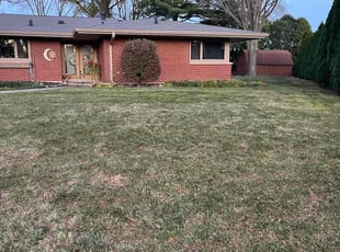 Leaf Removal by Jose Sanchez for Emma L. in Aurora, IL