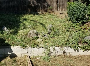 Cleanups by Philip Castle for Joseph D. in Denver, CO