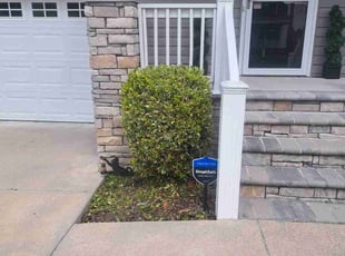 Bush Trimming by Trevor Philipp for Susan G. in Norfolk, VA
