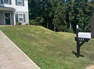 Kassidy A.'s Yard Cutting service result