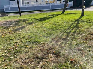 Leaf Removal by Keith Fernandes for Tonya M. in Maple Shade, NJ