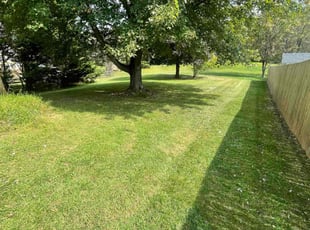 Michael B.'s Lawn Care service result