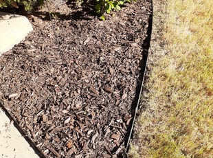 Weeding by Maurice Clark for Danny D. in Plano, TX