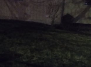 Leaf Removal by Jim Bowles for Diane B. in Kansas City, MO