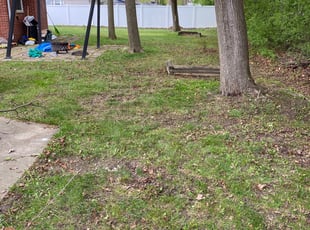 Leaf Removal by Daniel Moton for angel j. in Farmington Hills, MI