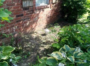 Weeding by Robert Beals for Megan M. in Cordova, TN