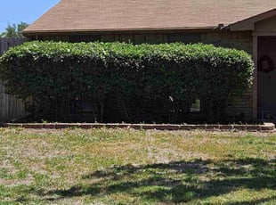 Bush Trimming by Ernest Howard for Eva C. in Carrollton, TX