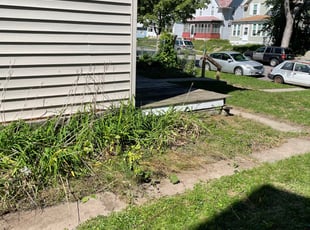 Bush Trimming by Taylen Majest for Josh B. in Saint Paul, MN