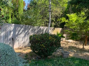Bush Trimming by Jonathan Allen for Rechelle G. in Citrus Heights, CA