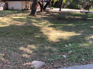 Landscaping by Anthony Simon for I. in Spring, TX